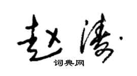 朱锡荣赵涛草书个性签名怎么写