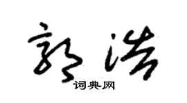 朱锡荣郭浩草书个性签名怎么写