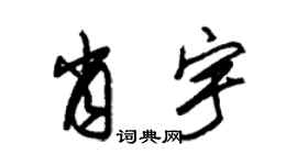 朱锡荣肖宇草书个性签名怎么写