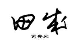 朱锡荣田成草书个性签名怎么写