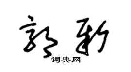 朱锡荣郭新草书个性签名怎么写