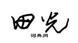 朱锡荣田光草书个性签名怎么写