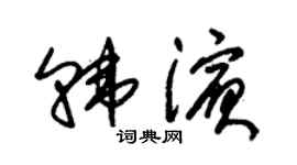 朱锡荣韩滨草书个性签名怎么写