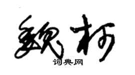 朱锡荣魏柯草书个性签名怎么写