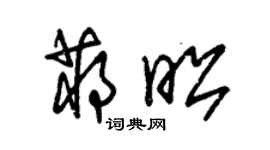 朱锡荣蒋昭草书个性签名怎么写