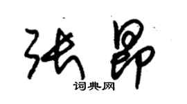 朱锡荣张昂草书个性签名怎么写