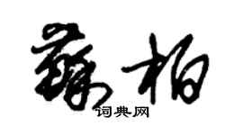 朱锡荣苏柏草书个性签名怎么写