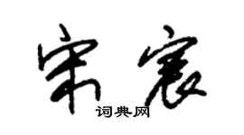 朱锡荣宋宸草书个性签名怎么写