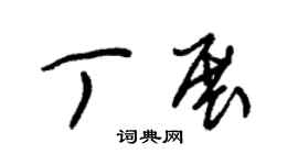 朱锡荣丁展草书个性签名怎么写