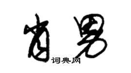 朱锡荣肖男草书个性签名怎么写