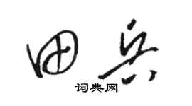 骆恒光田兵草书个性签名怎么写