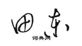 骆恒光田东草书个性签名怎么写