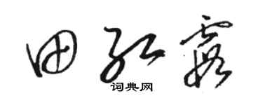 骆恒光田红霞草书个性签名怎么写