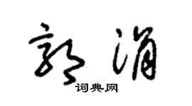 朱锡荣郭涓草书个性签名怎么写