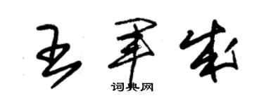 朱锡荣王军成草书个性签名怎么写