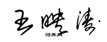 朱锡荣王映涛草书个性签名怎么写