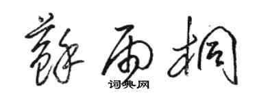 骆恒光苏雨桐草书个性签名怎么写