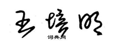 朱锡荣王培明草书个性签名怎么写