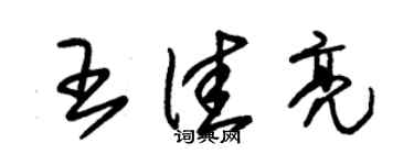 朱锡荣王佳亮草书个性签名怎么写
