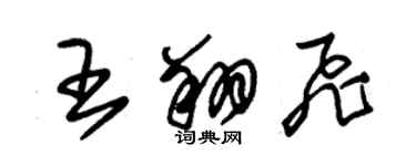 朱锡荣王翔飞草书个性签名怎么写