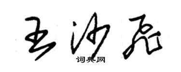 朱锡荣王沙飞草书个性签名怎么写