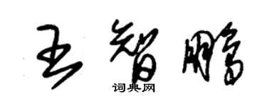 朱锡荣王智鹏草书个性签名怎么写