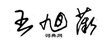 朱锡荣王旭薇草书个性签名怎么写