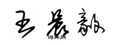 朱锡荣王晨毅草书个性签名怎么写