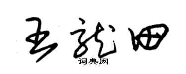 朱锡荣王龙田草书个性签名怎么写