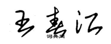 朱锡荣王春江草书个性签名怎么写