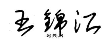 朱锡荣王锦江草书个性签名怎么写