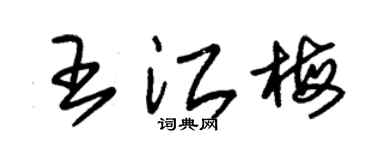 朱锡荣王江梅草书个性签名怎么写