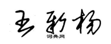 朱锡荣王新杨草书个性签名怎么写