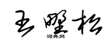 朱锡荣王野松草书个性签名怎么写
