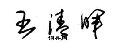 朱锡荣王清晖草书个性签名怎么写