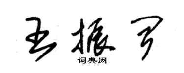 朱锡荣王振闻草书个性签名怎么写