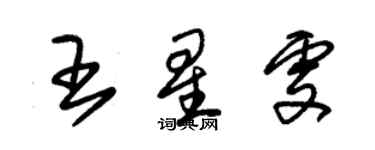 朱锡荣王星雯草书个性签名怎么写