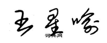 朱锡荣王星喻草书个性签名怎么写