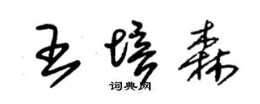 朱锡荣王培森草书个性签名怎么写