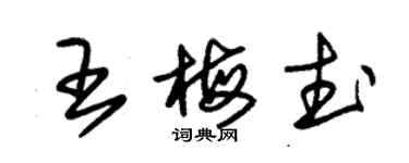 朱锡荣王梅武草书个性签名怎么写