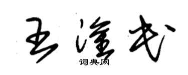 朱锡荣王淦民草书个性签名怎么写