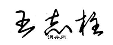 朱锡荣王志柱草书个性签名怎么写