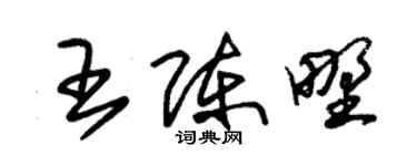 朱锡荣王陈野草书个性签名怎么写