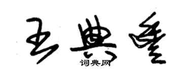 朱锡荣王典丰草书个性签名怎么写