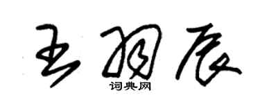 朱锡荣王羽辰草书个性签名怎么写