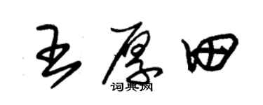 朱锡荣王厚田草书个性签名怎么写