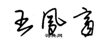 朱锡荣王凤齐草书个性签名怎么写