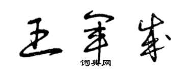 曾庆福王军成草书个性签名怎么写