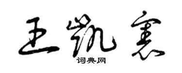 曾庆福王凯宪草书个性签名怎么写
