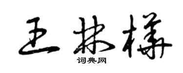 曾庆福王林桦草书个性签名怎么写